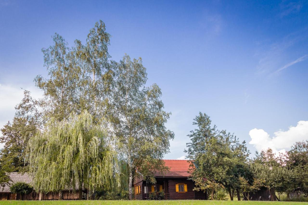 Kuca Za Odmor Cindric Lodge *