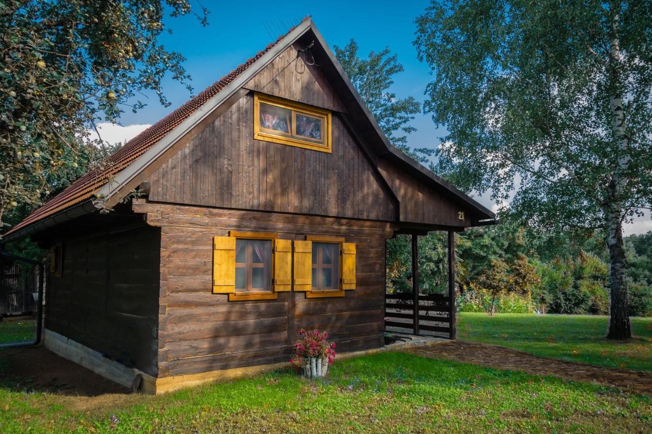 Lodge Kuca Za Odmor Cindric *